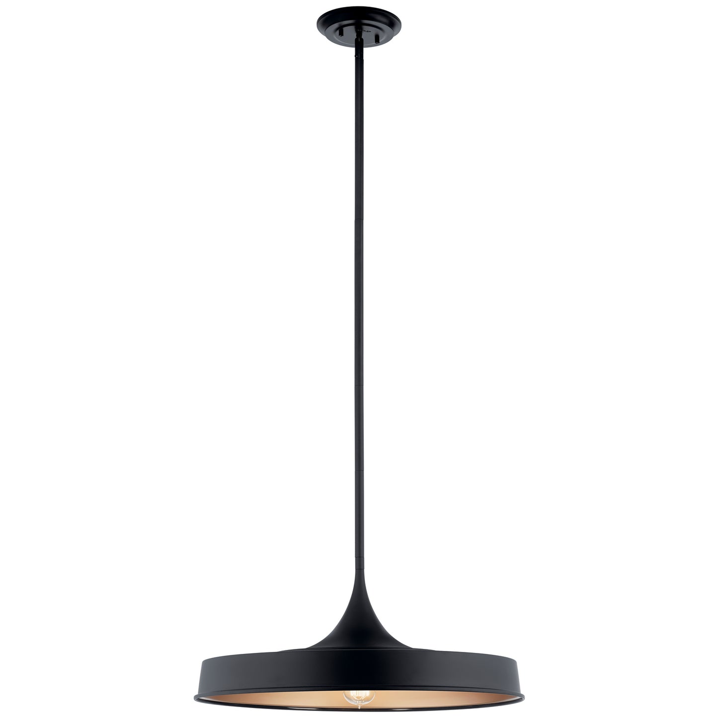 Elias One Light Pendant/Semi Flush in Black