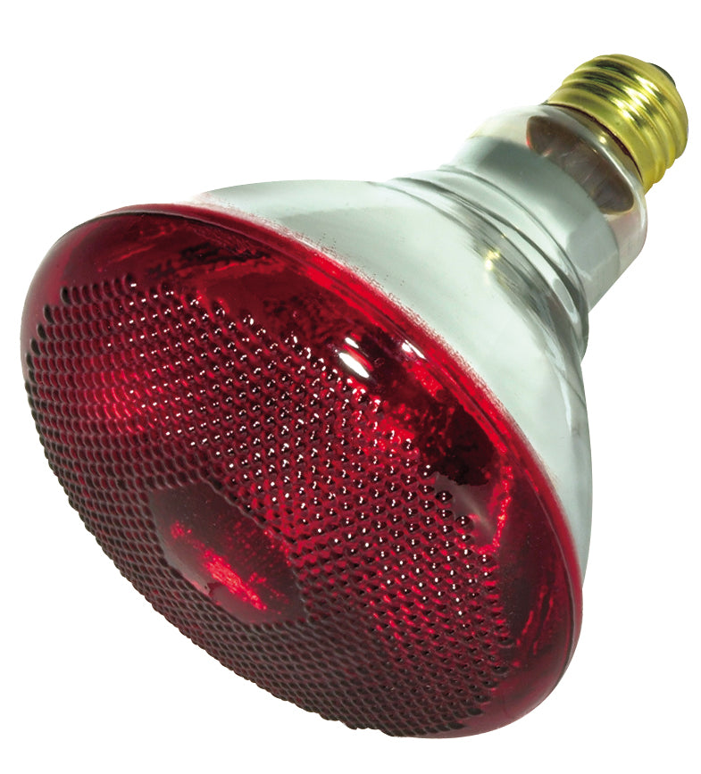 (4-Pack) Light Bulb in Red Heat