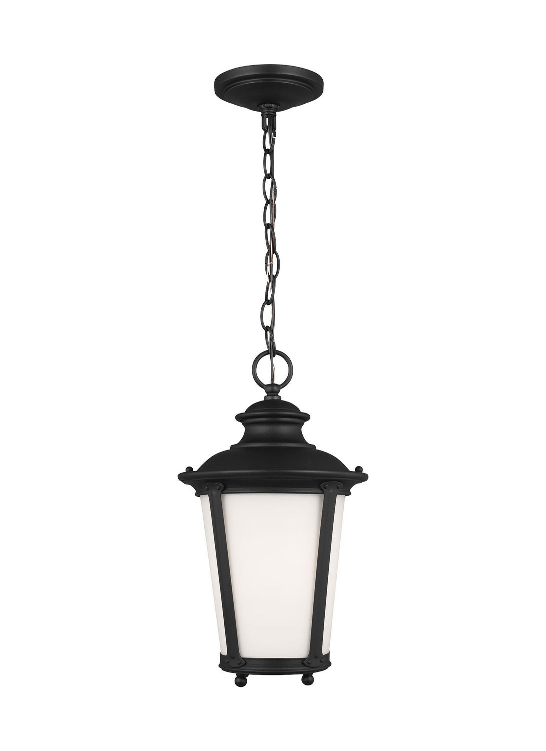 Cape May One Light Outdoor Pendant in Black