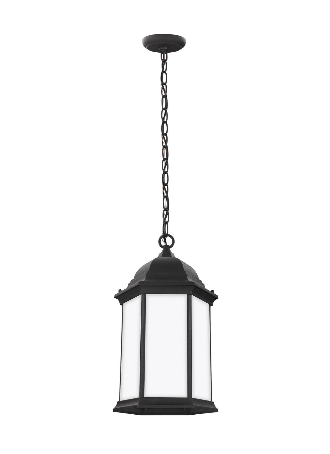Sevier One Light Outdoor Pendant in Black