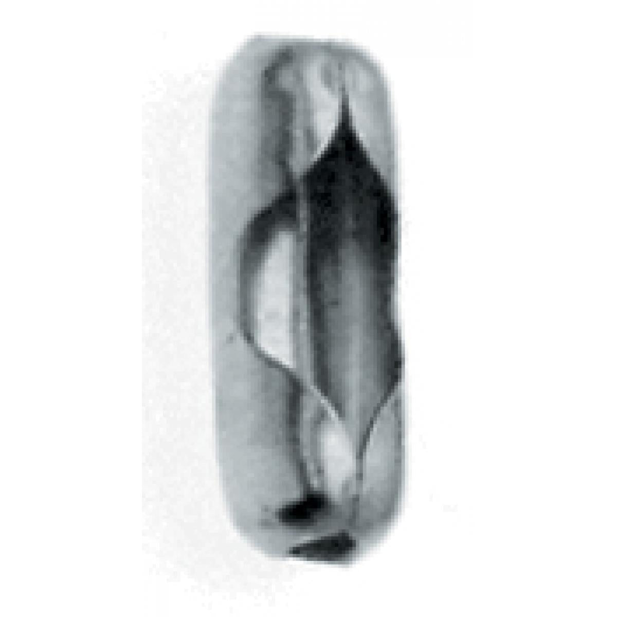 (4-Pack) Connector in Nickel