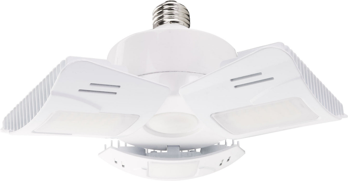 (4-Pack) Light Bulb in Clear