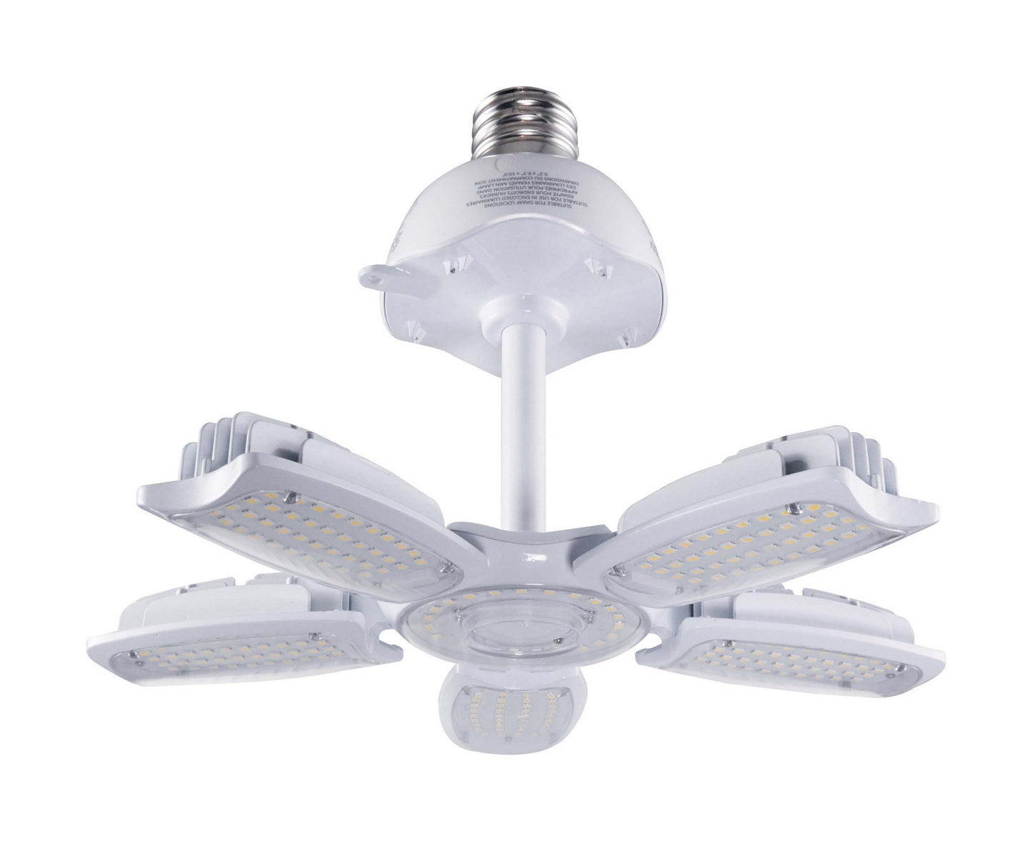 Light Bulb in Clear