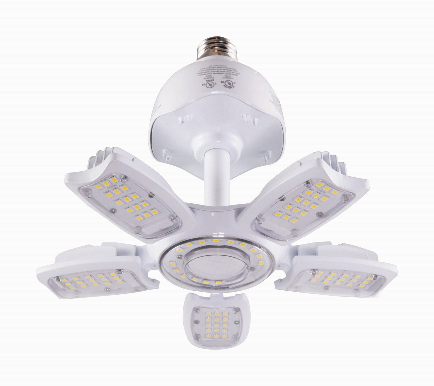 Light Bulb in Clear