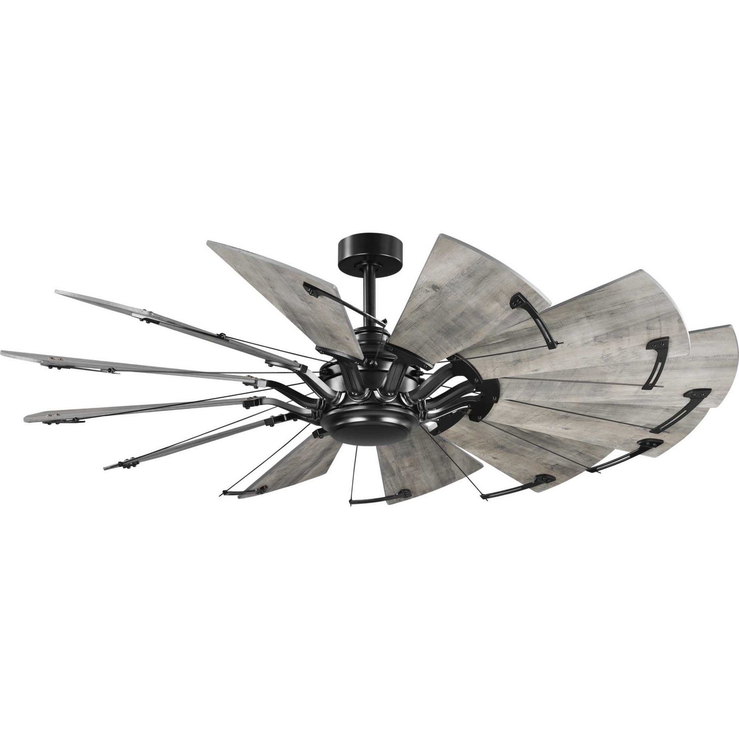 Springer 60" Ceiling Fan in Matte Black