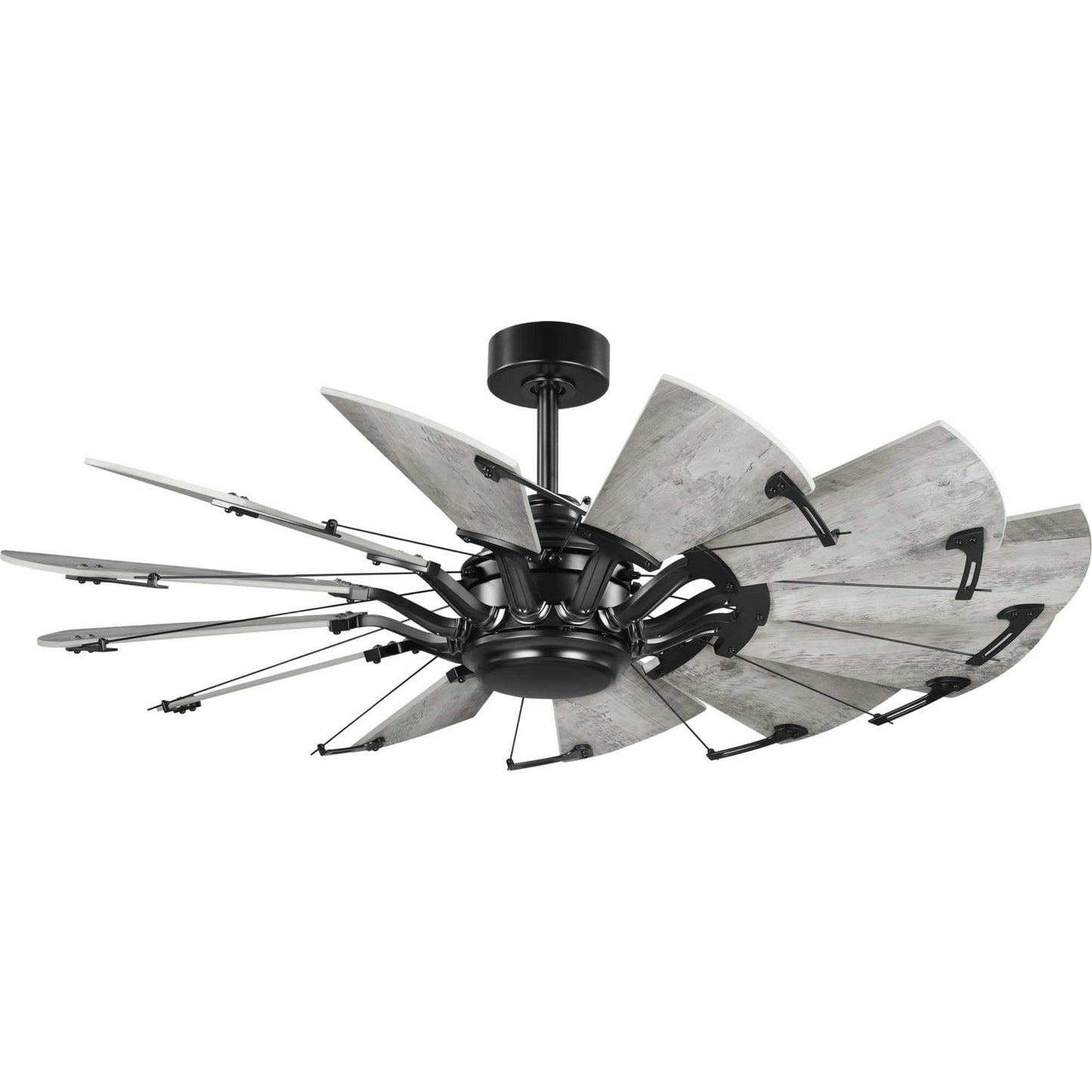 Progress Lighting - P250065-31M - 52" Ceiling Fan - Springer - Matte Black