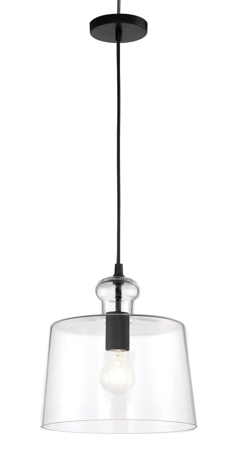 Clarity One Light Pendant in Coal