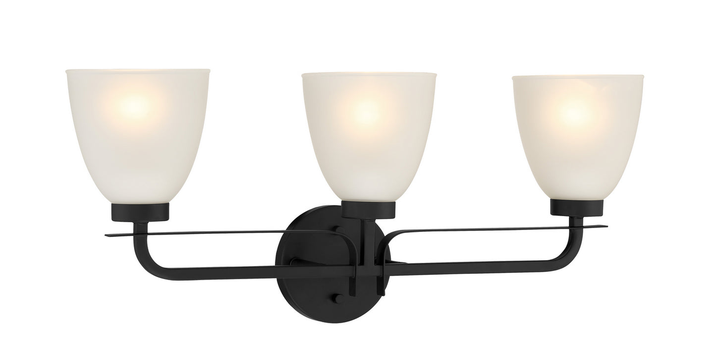 Kaitlen Three Light Bath in Coal