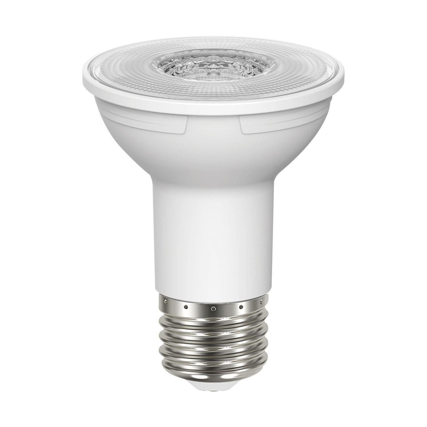 (4-Pack) Light Bulb in Clear