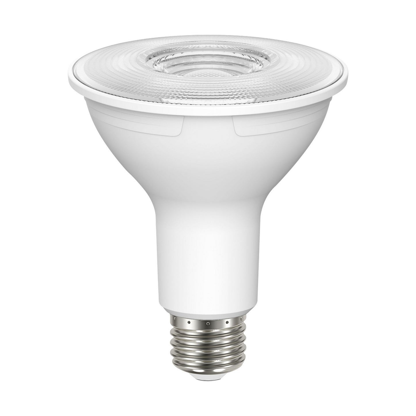 (4-Pack) Light Bulb in Clear
