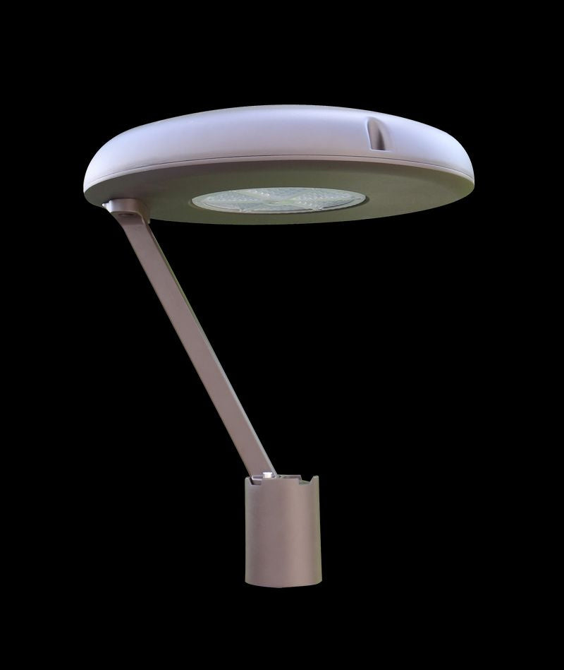 LED Area Light in Bronze