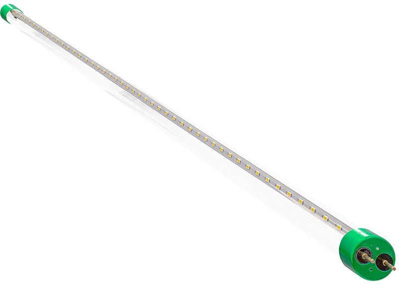 Westgate 4 ft T8 LED Tube – 18W, 2160 Lumens, 5000K Daylight, Type A+B, Clear, 12-Pack (T8-EZ6-GS-4FT-18W-50K-C)