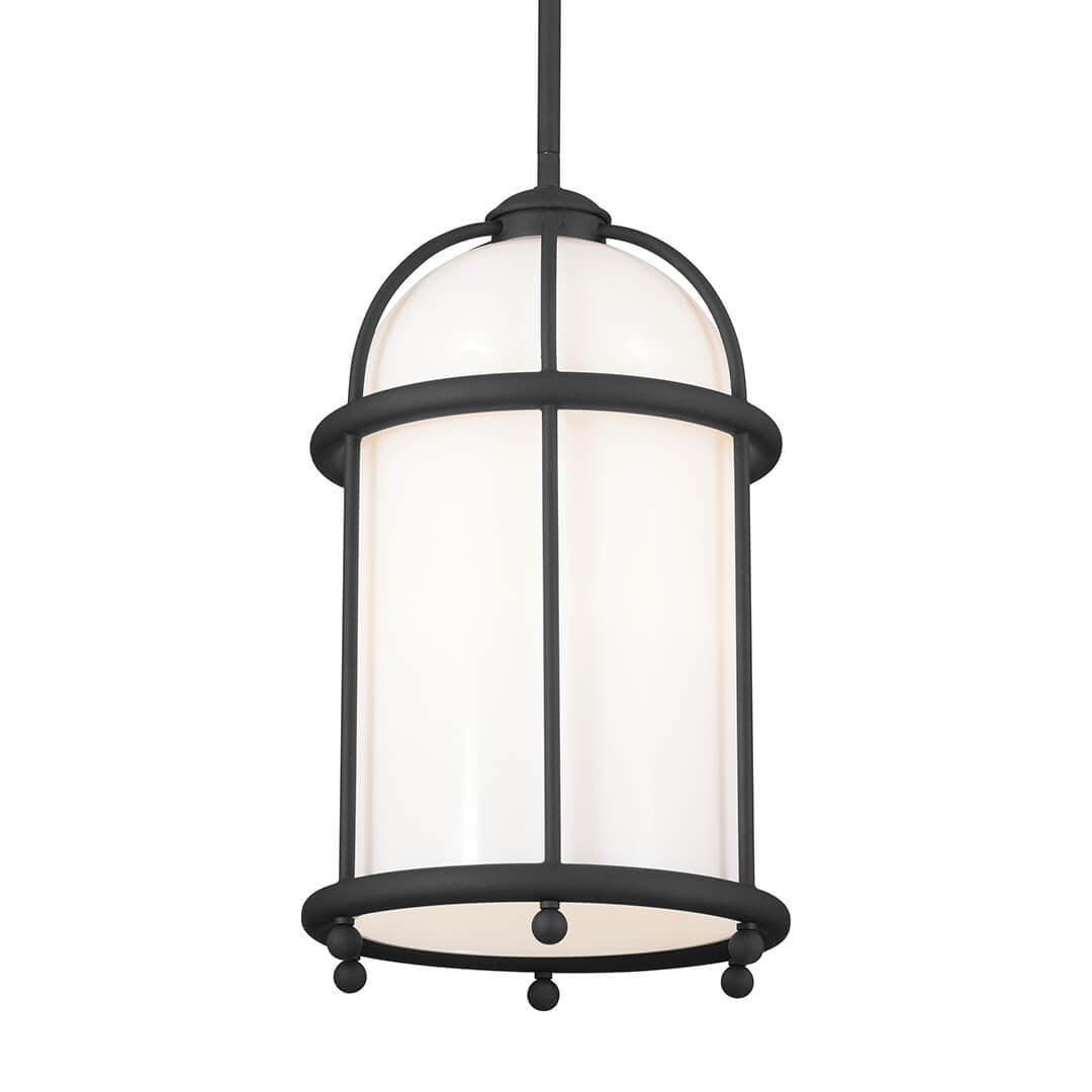 Topiary One Light Pendant in Textured Black