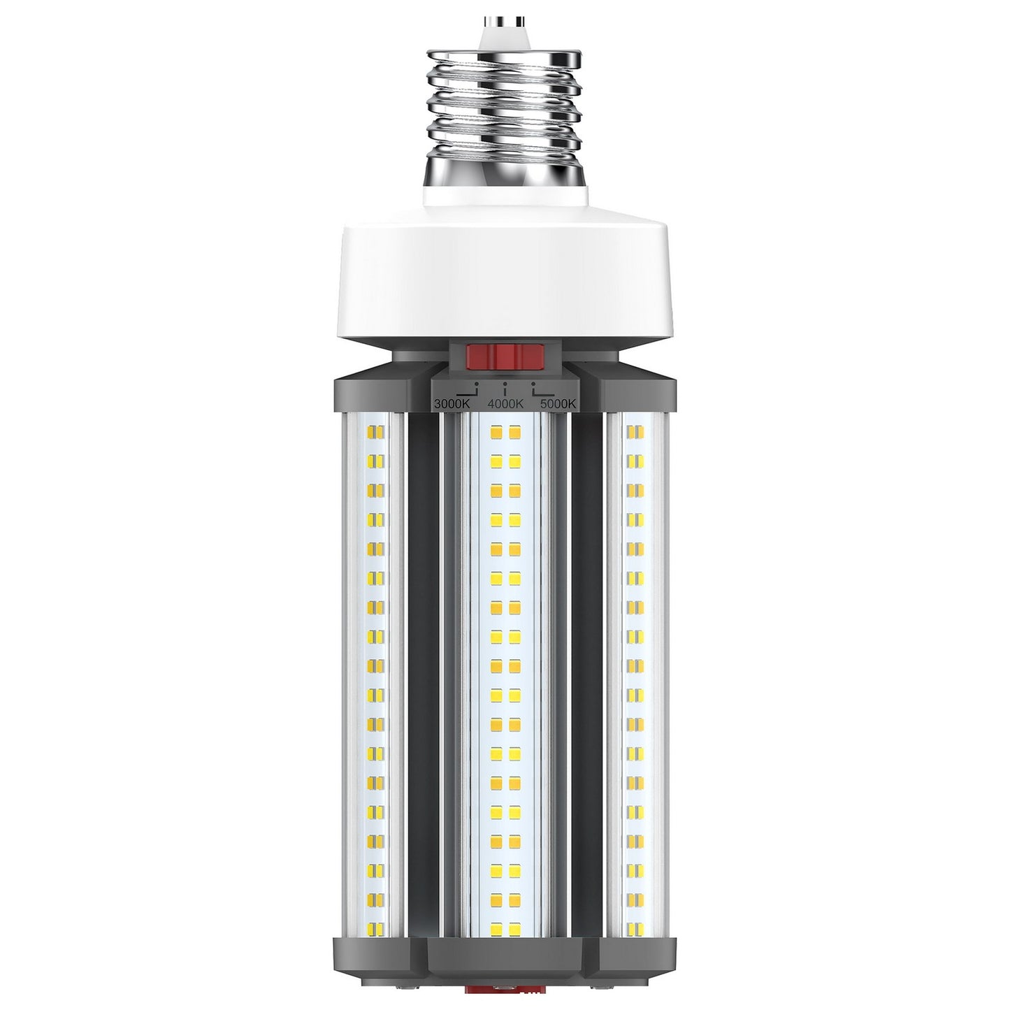 Light Bulb in White