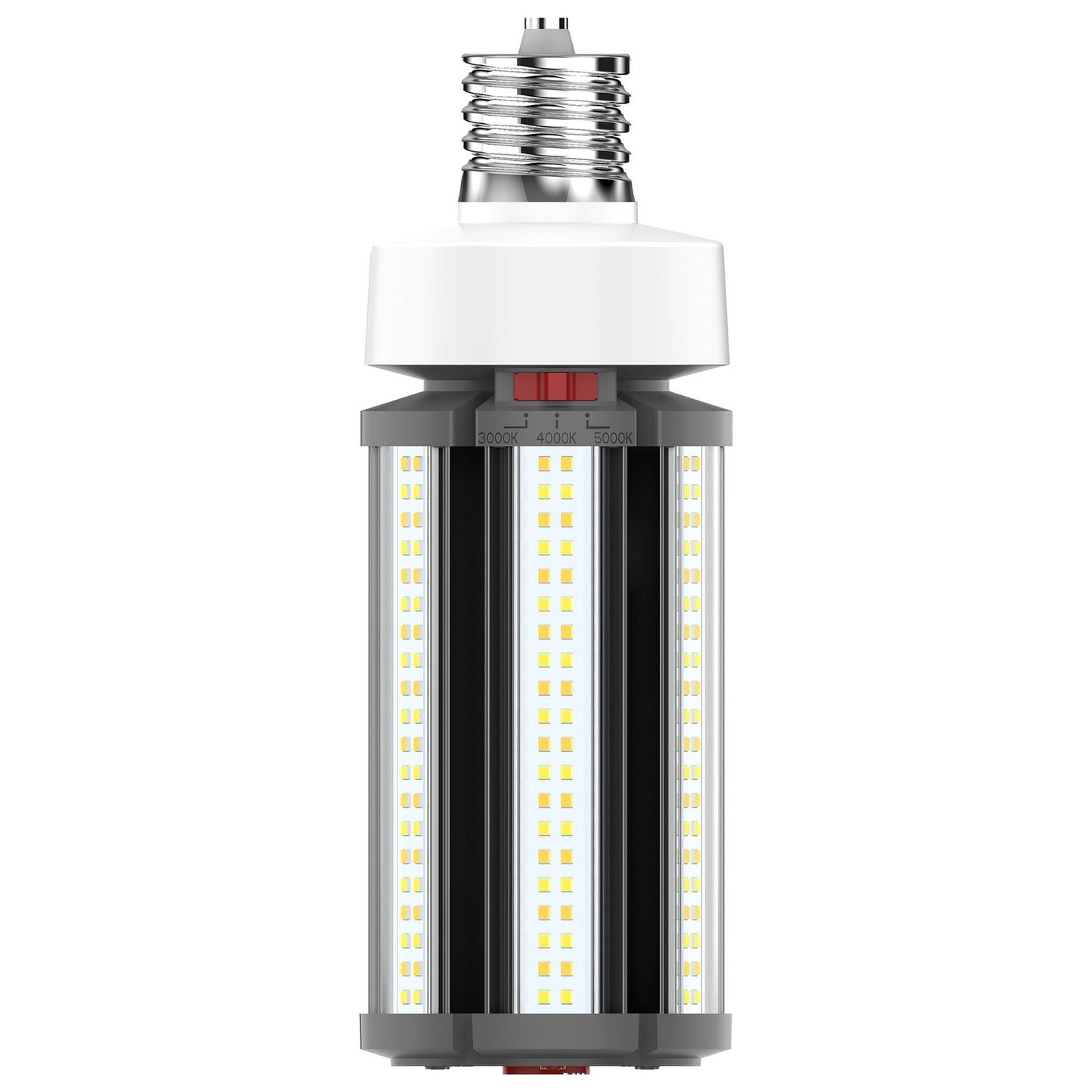Light Bulb in White