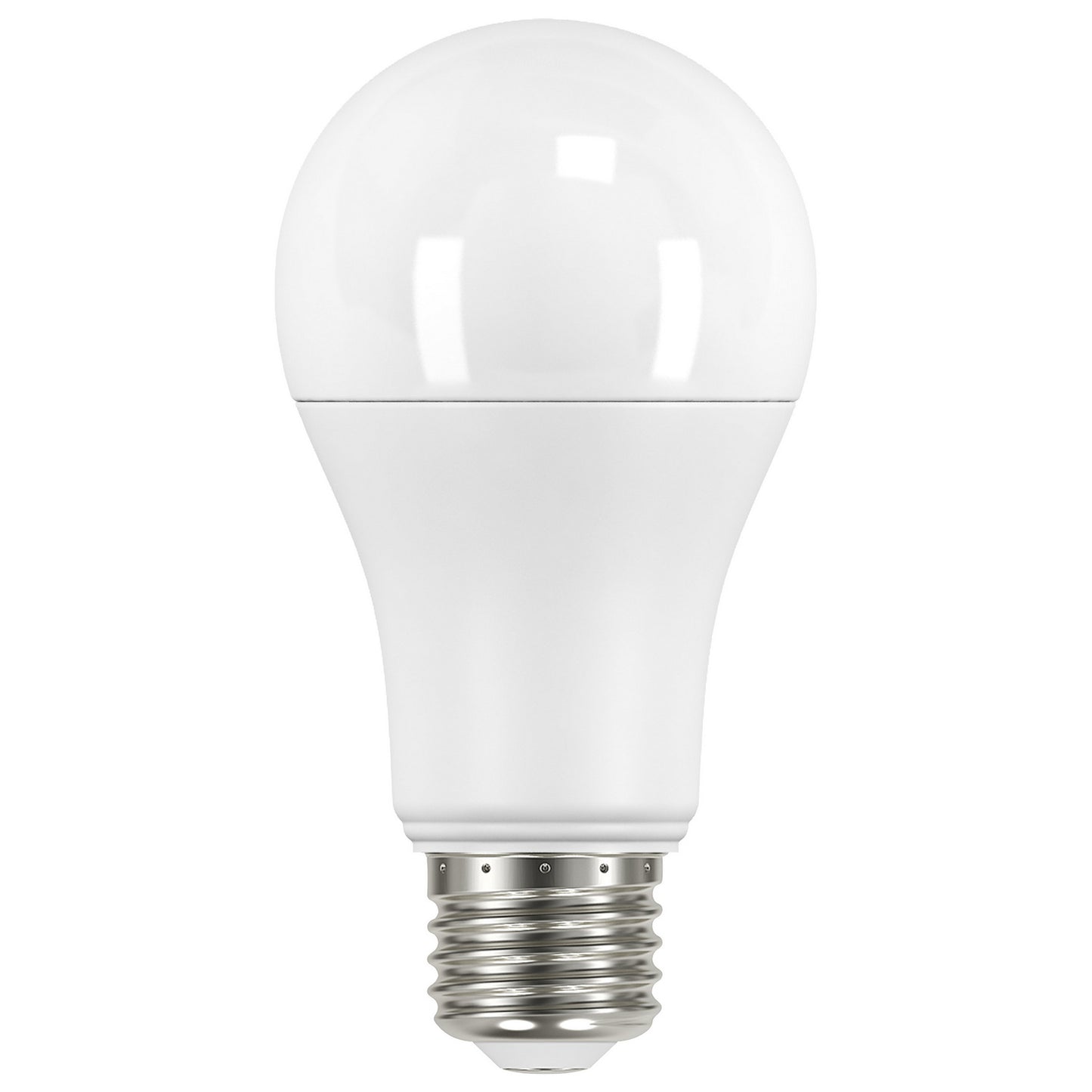(4-Pack) Light Bulb in Frost