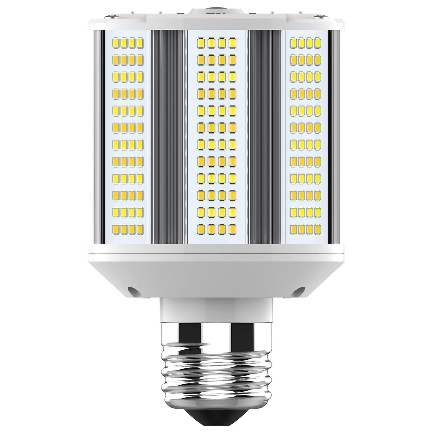 Light Bulb in White