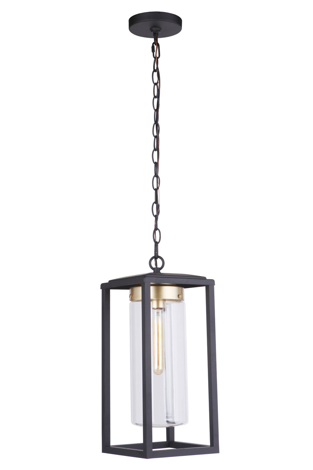 Neo One Light Outdoor Pendant in Midnight / Satin Brass