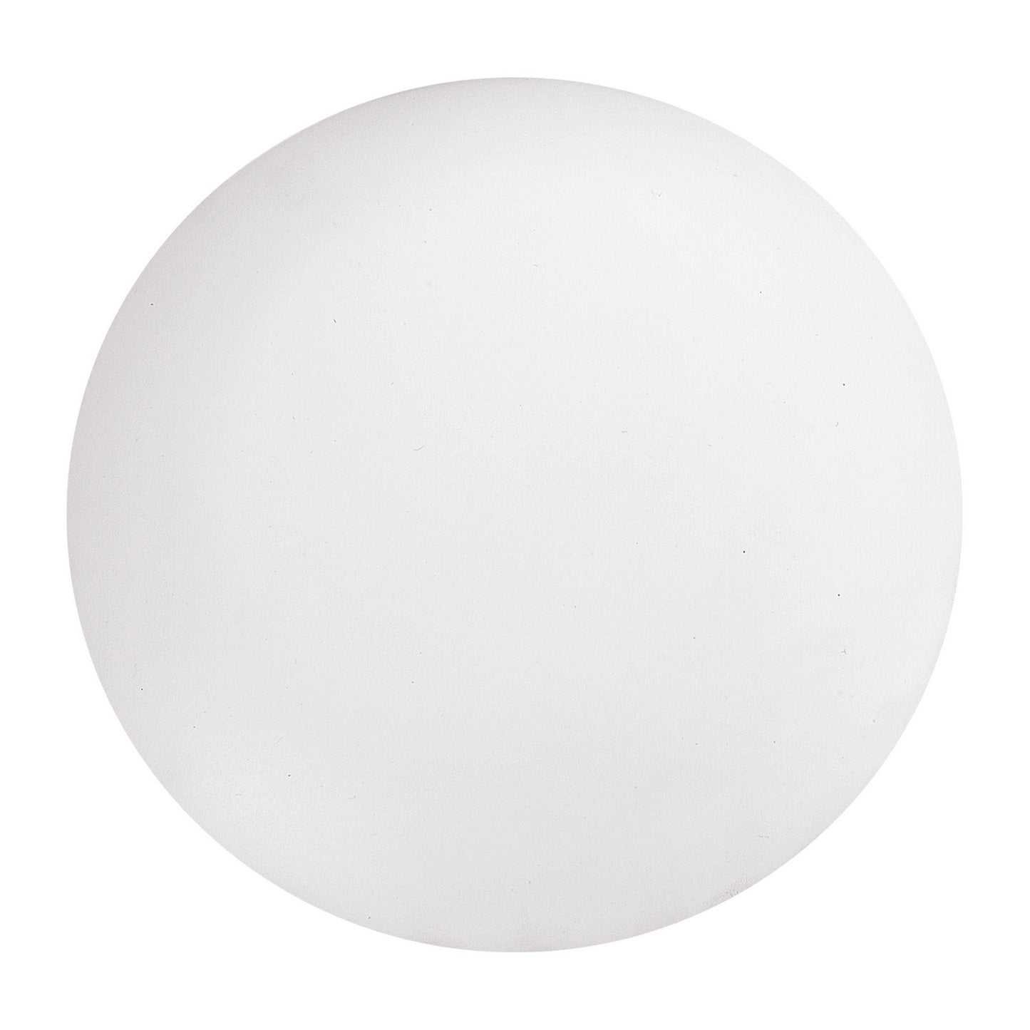 Era Blanking Plate in Matte White