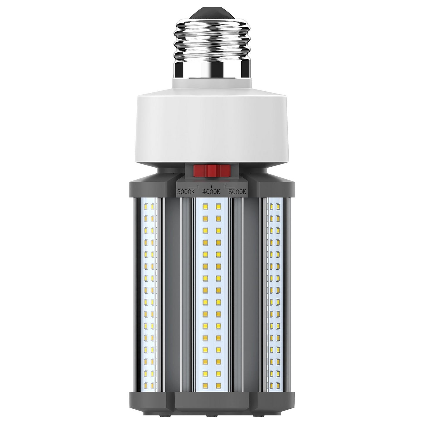 Light Bulb in White
