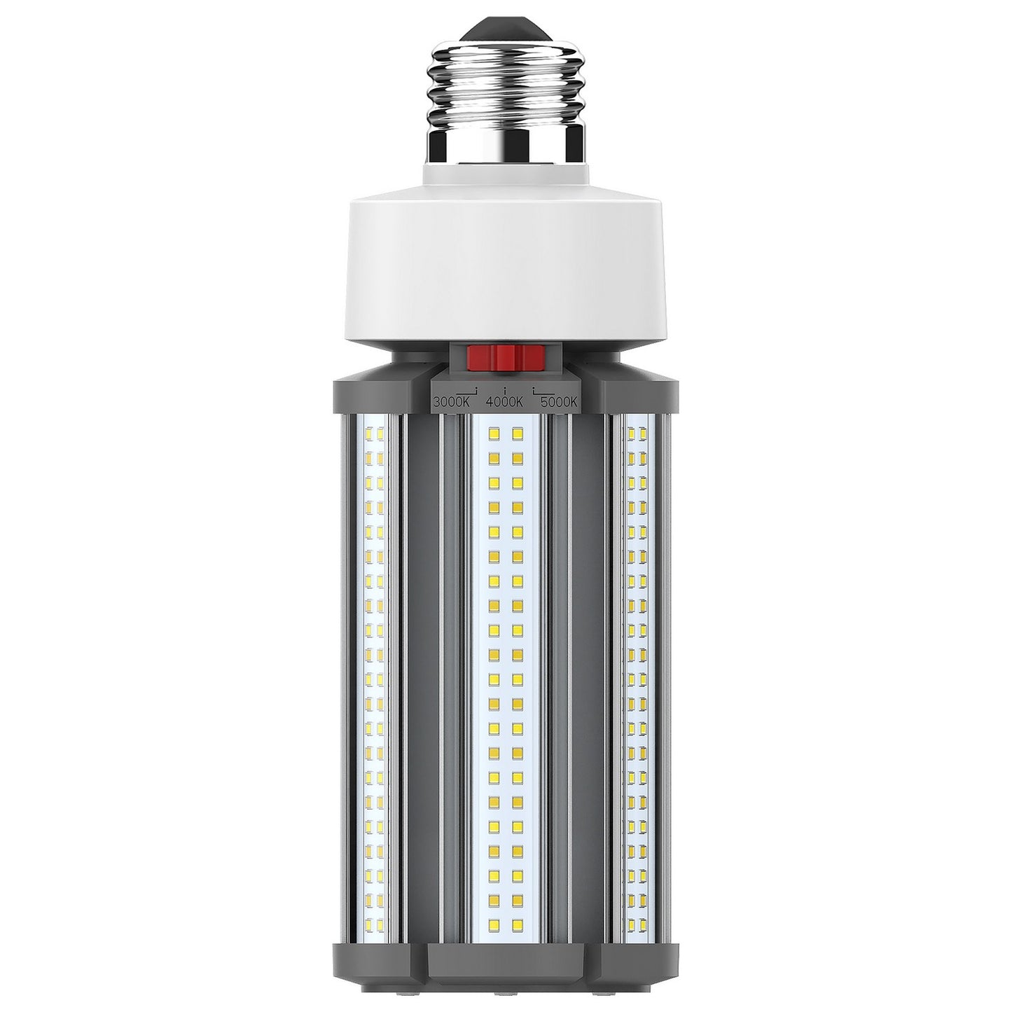 Light Bulb in White