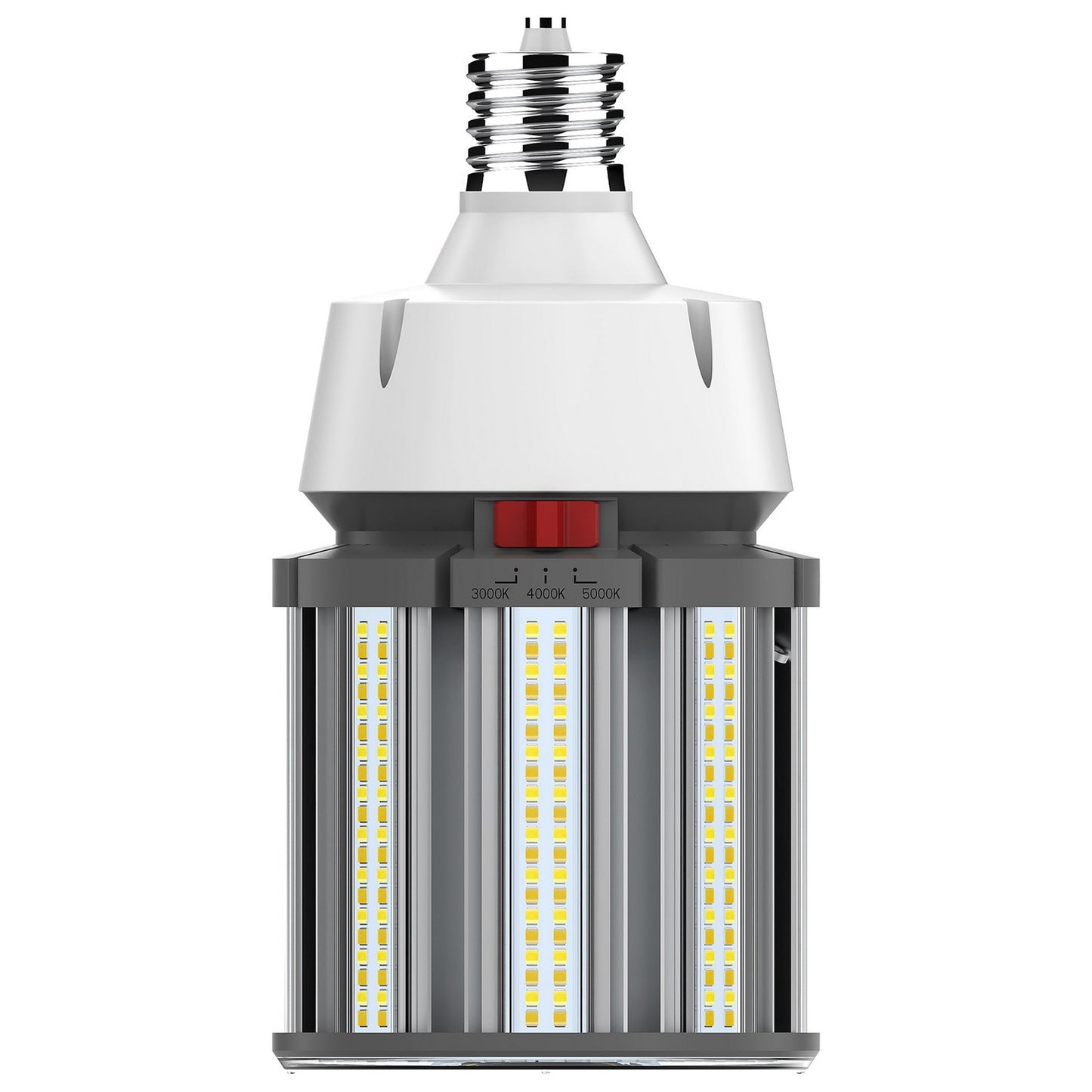 Light Bulb in White