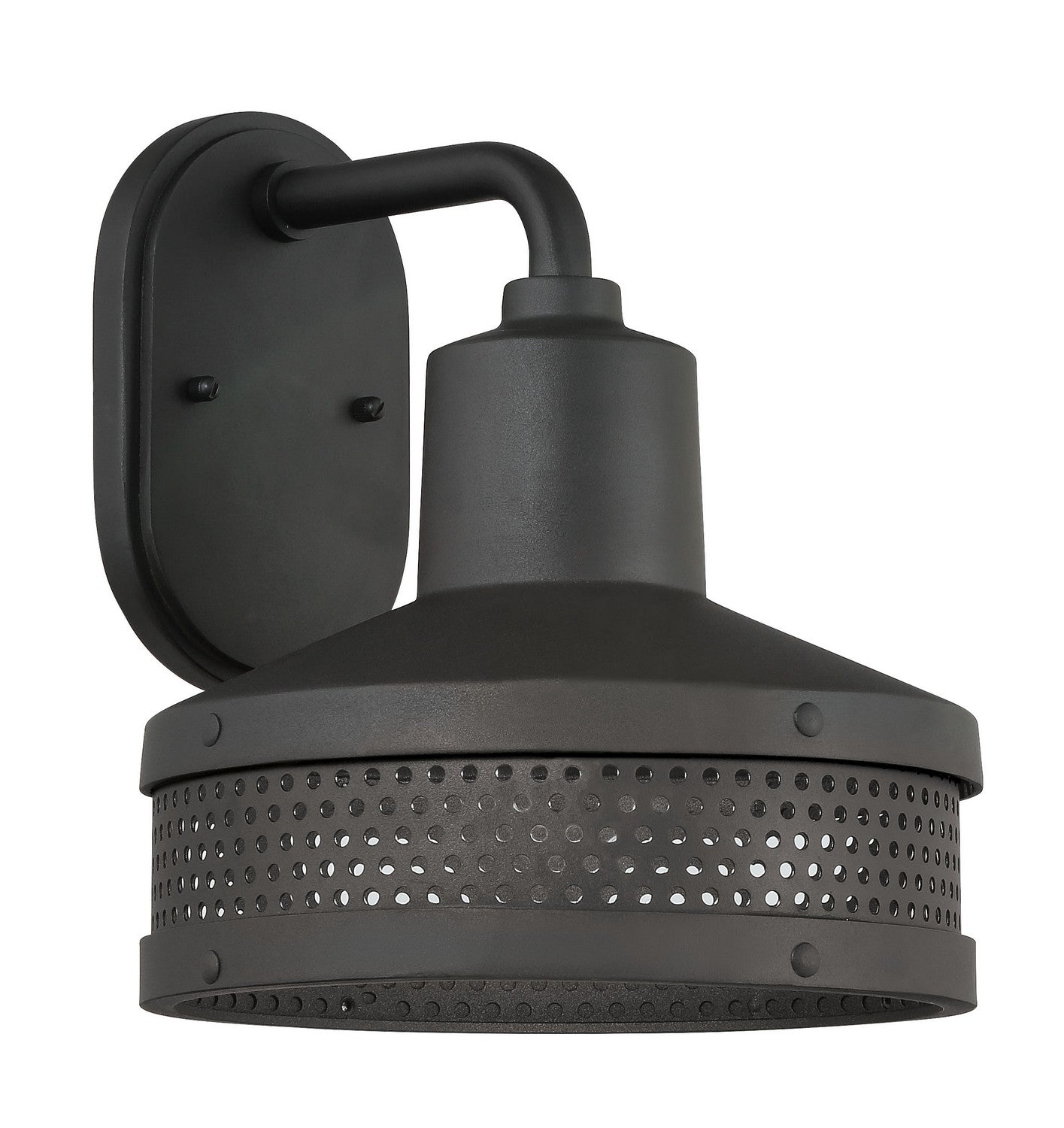 Abalone Point One Light Wall Sconce in Sand Coal