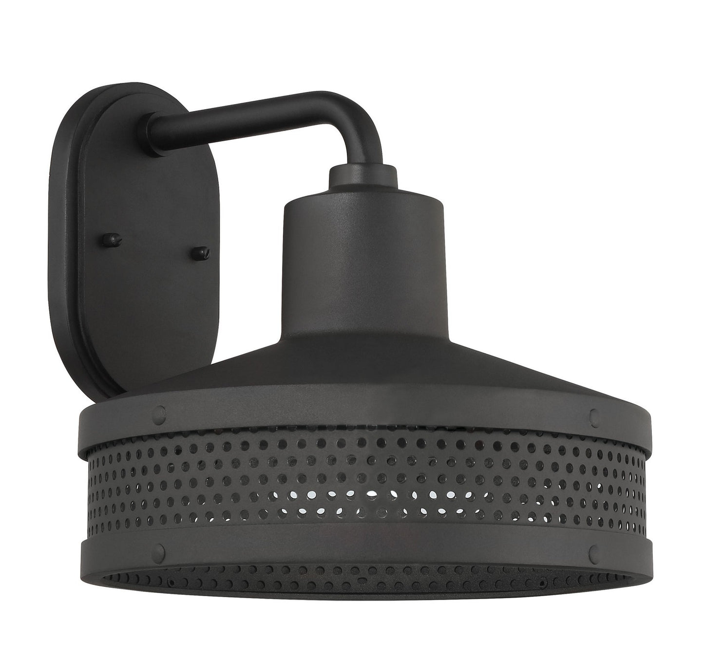Abalone Point One Light Wall Sconce in Sand Coal