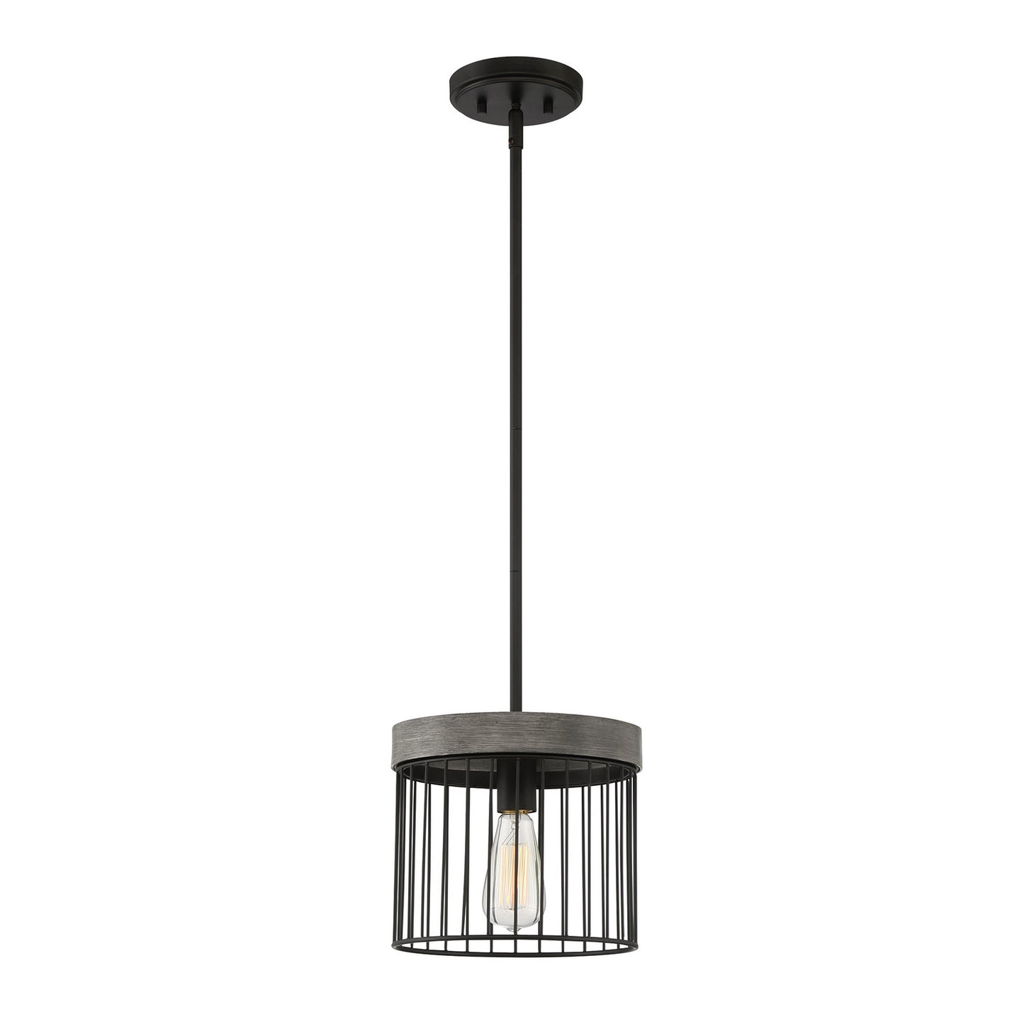 Aster One Light Pendant in Matte Black