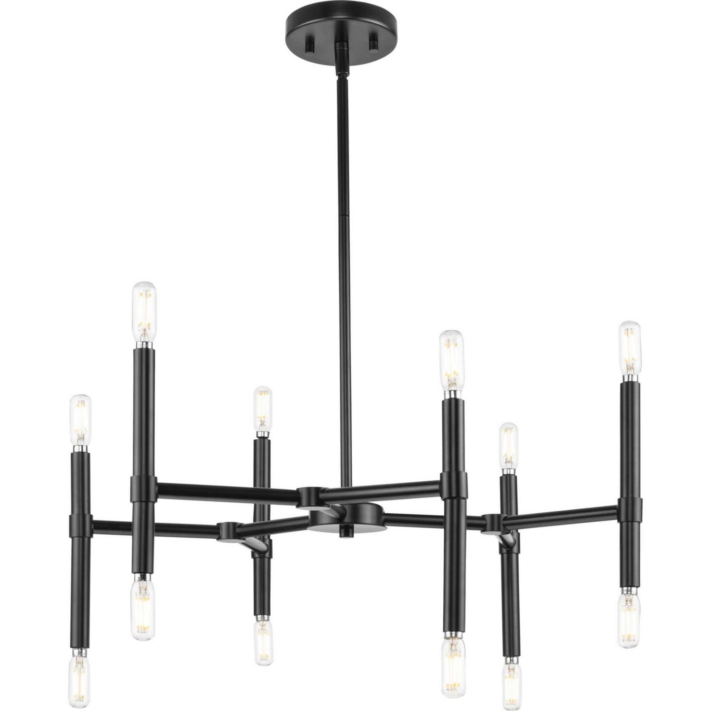 Arya 12 Light Chandelier in Matte Black