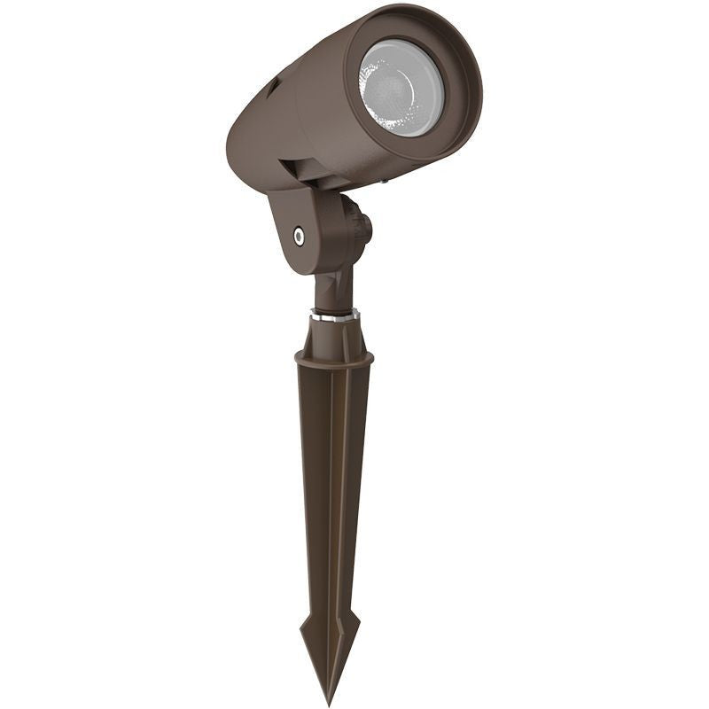 Bullet in Bronze
