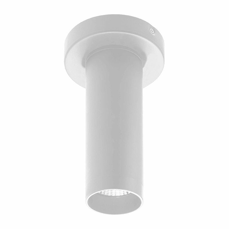 Ceiling Mount in White