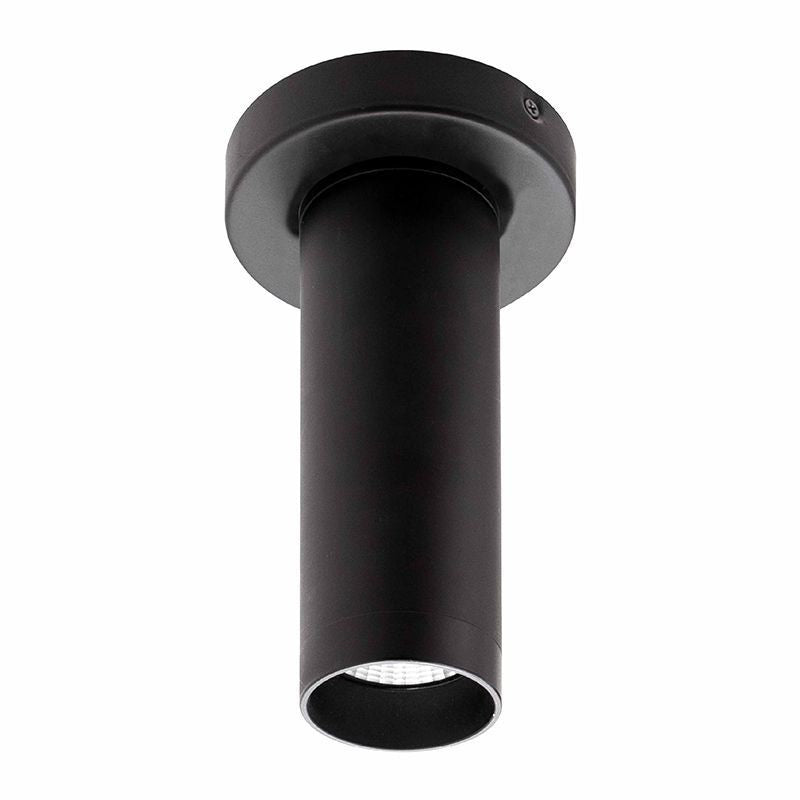 Ceiling Mount in Black