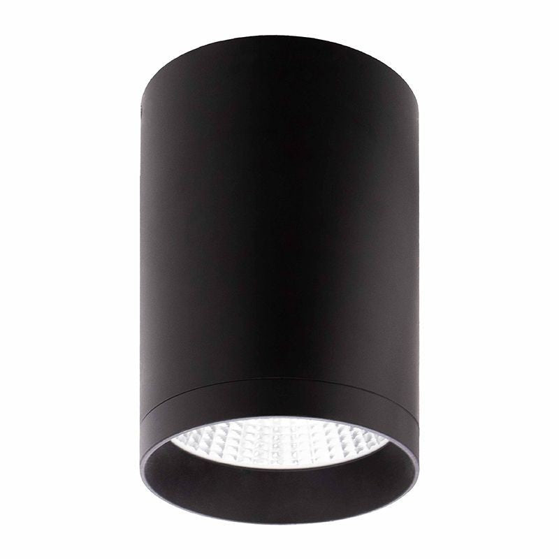 Ceiling Mount in Black