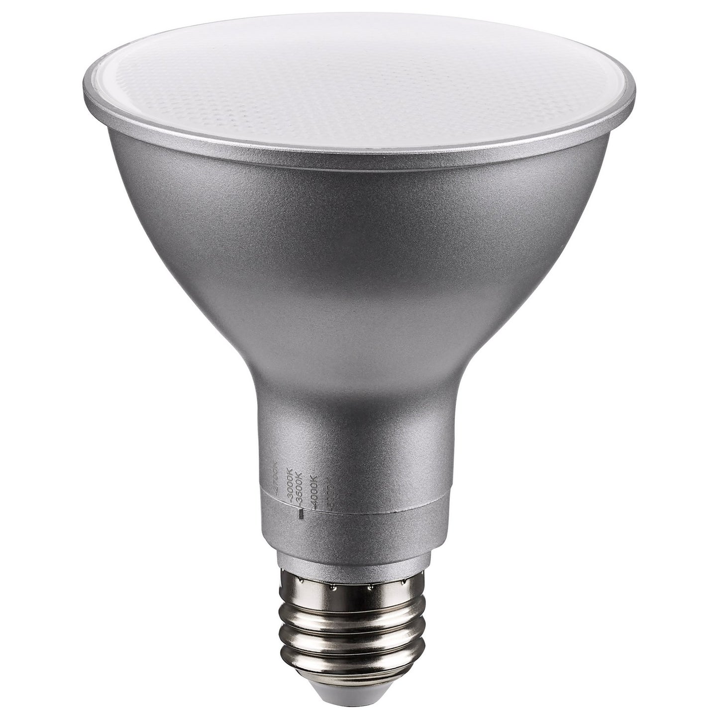 (4-Pack) Light Bulb in Silver