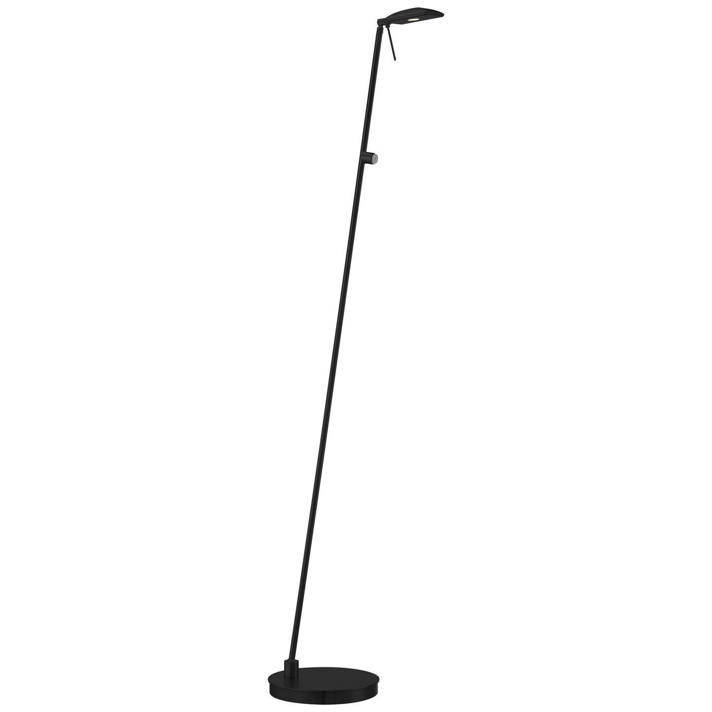 Task Portables LED Floor Lamp in Coal Black