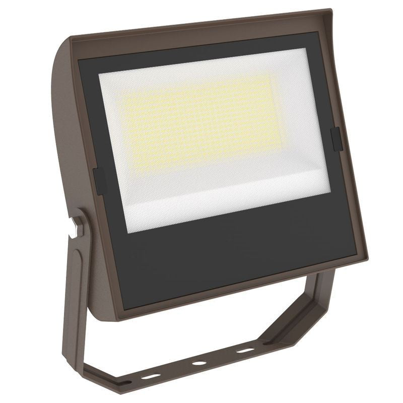 Flood Light in Bronze