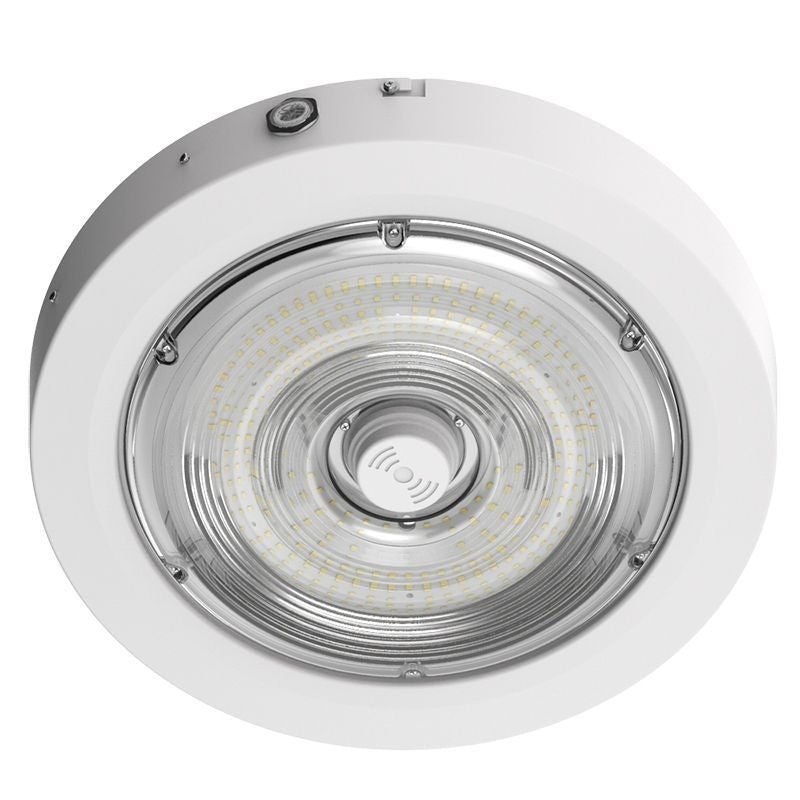 Canopy Light in White