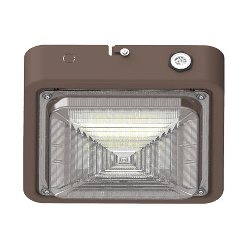 Canopy Light in Bronze