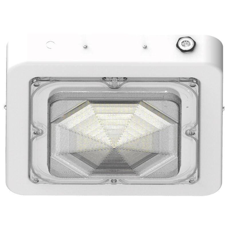 Canopy Light in White
