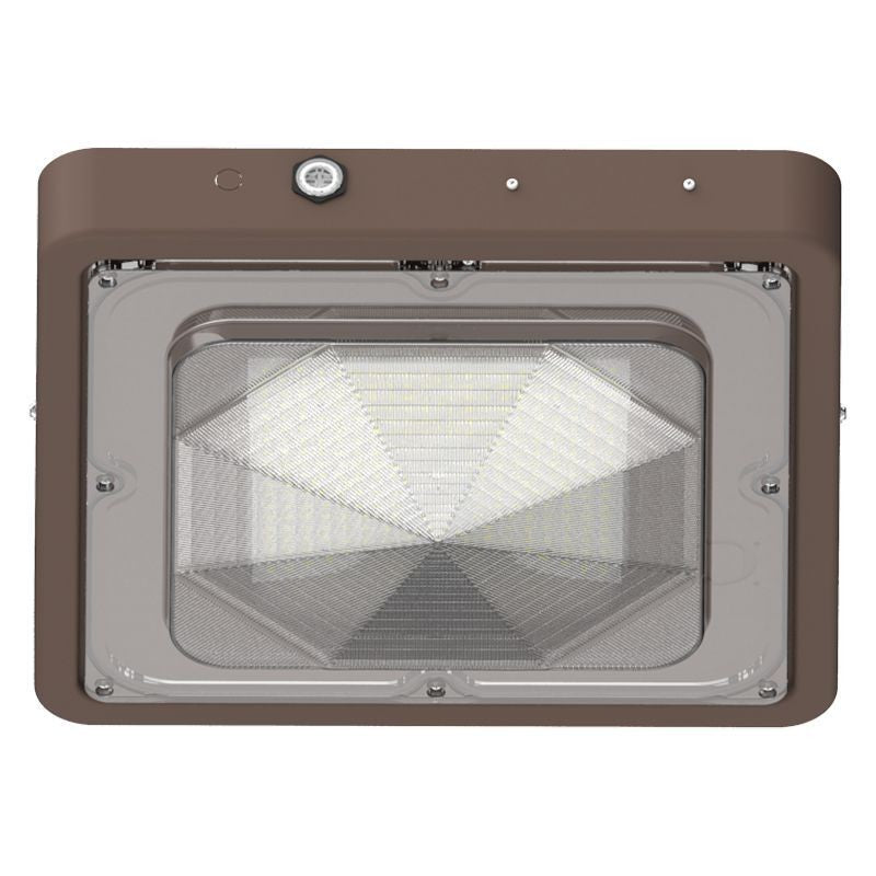 Canopy Light in Bronze