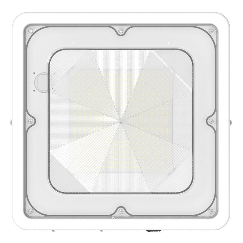 Canopy Light in White