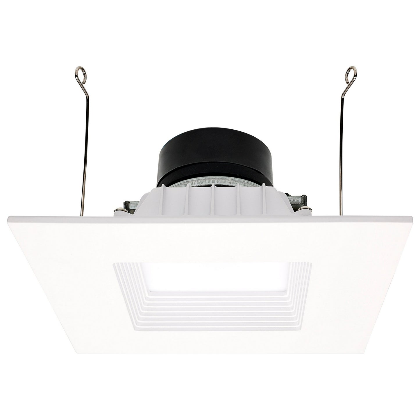 LED Downlight in White