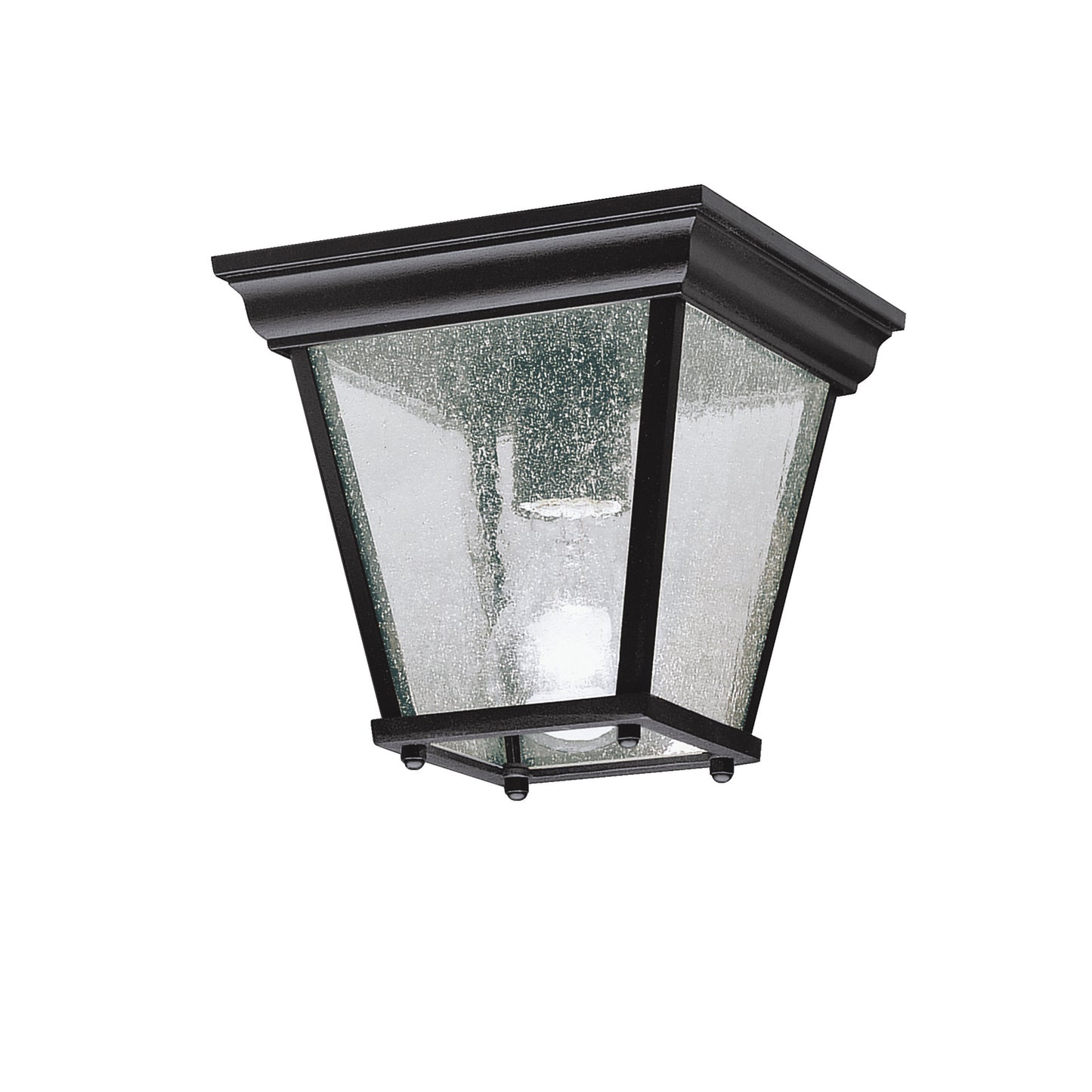 One Light Outdoor Ceiling Mount in Black