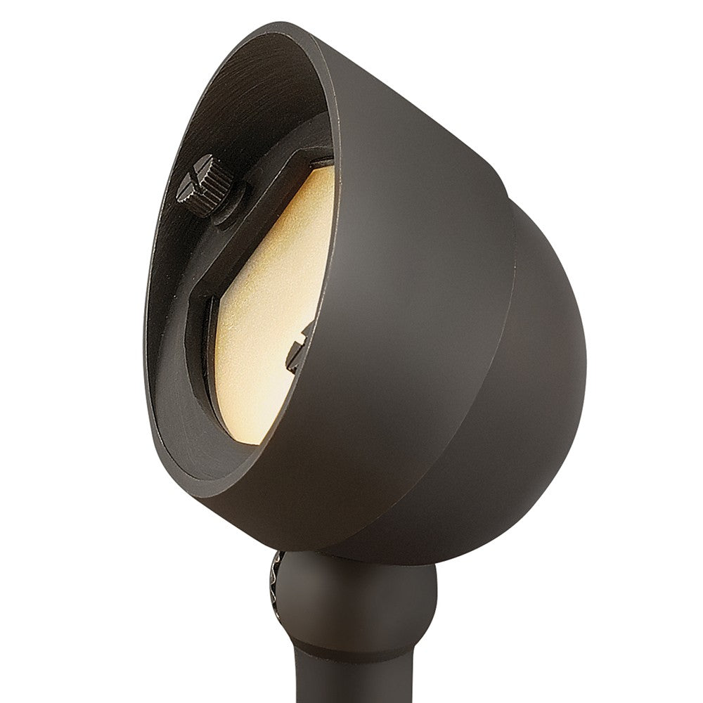 Hardy Island Accent Spot Light LED Wall Wash in Brass Satin Black