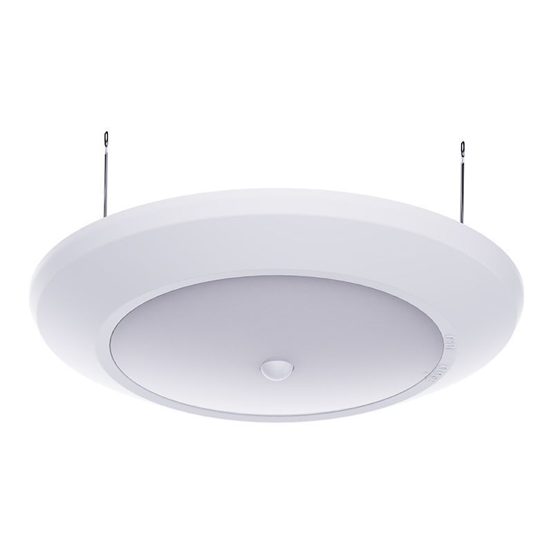 6In Disk in White