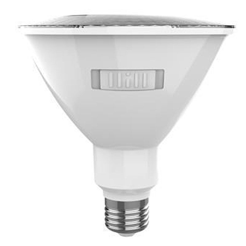Light Bulb in White