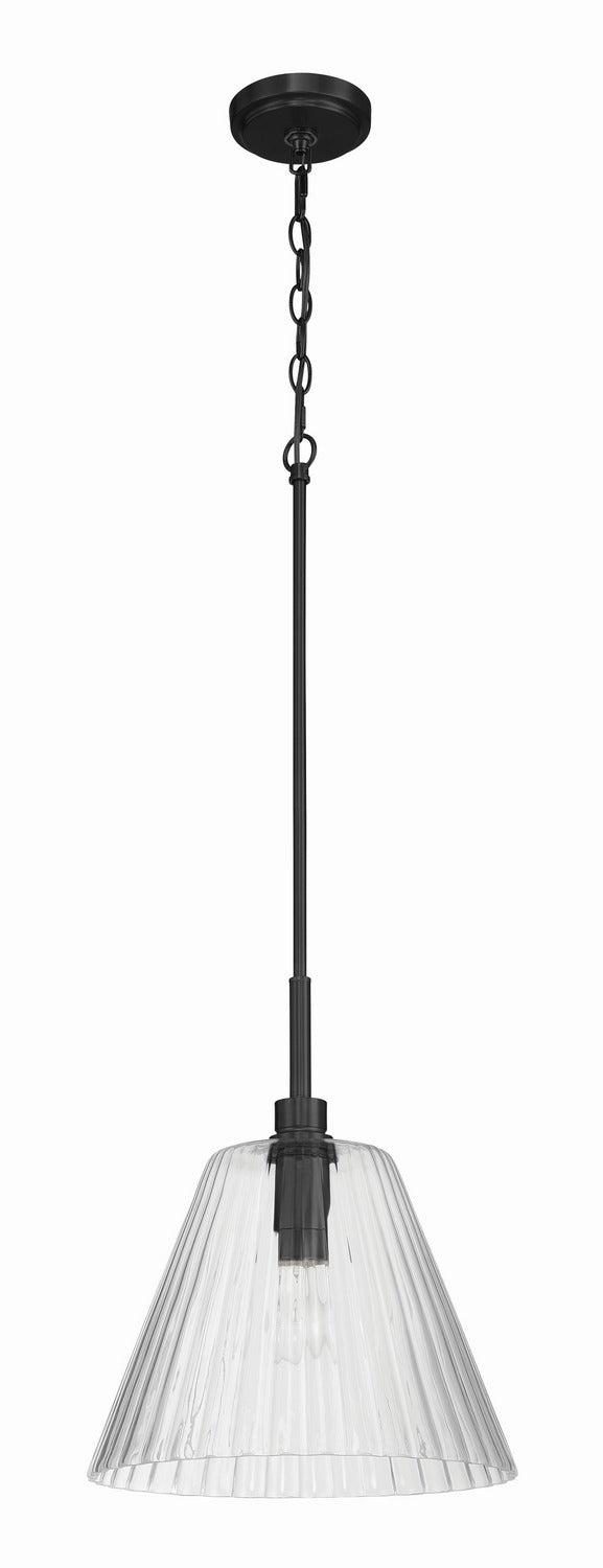 Pleated One Light Pendant in Flat Black