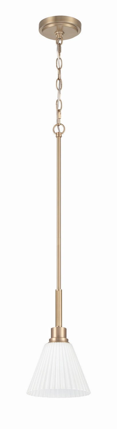 Pleated II One Light Pendant in Premium Bronze