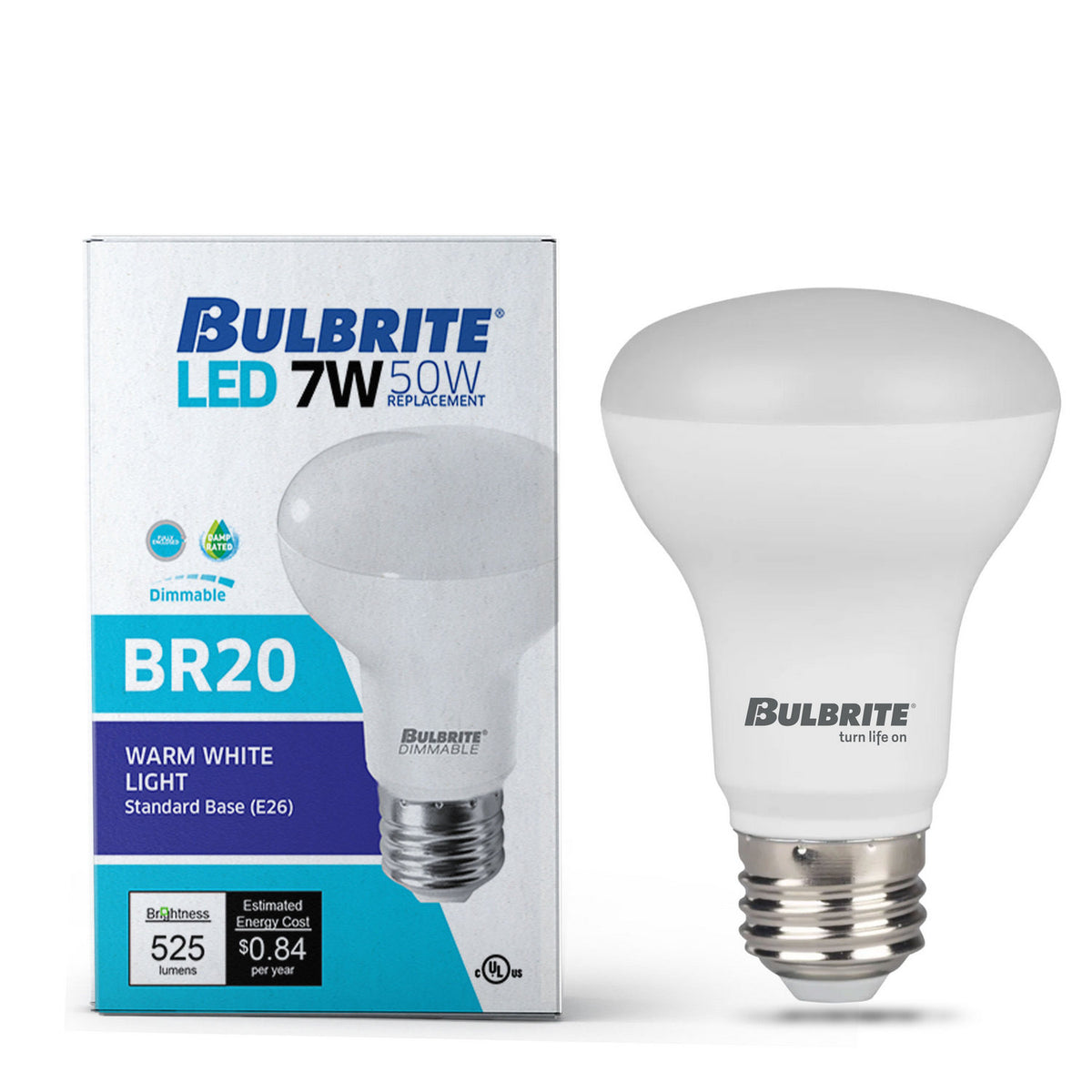 Light Bulb in Frost